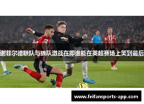 谢菲尔德联队与狼队激战在即谁能在英超赛场上笑到最后